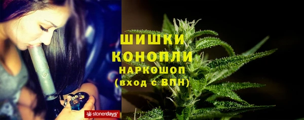 спиды Осташков