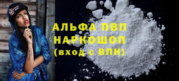 прущие грибы Переславль-Залесский
