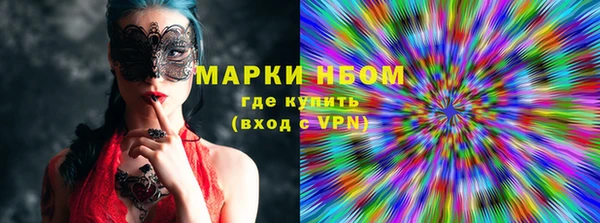 прущие грибы Переславль-Залесский